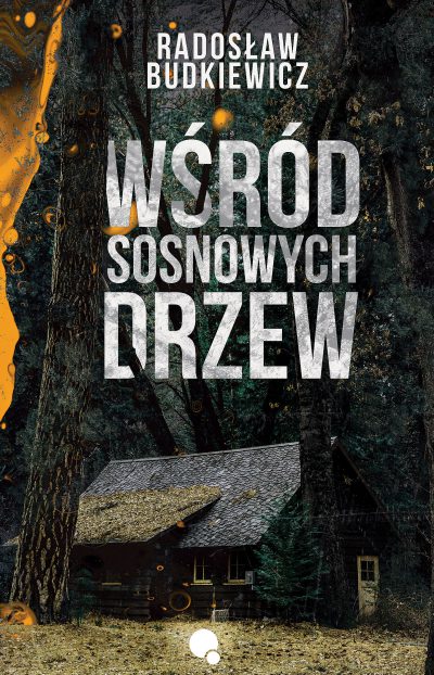 książka książki Wśród sosnowych drzew Radosław Budkiewicz tania książka tanie książki książka pl wydawnictwo dla czemu dlaczemu kryminał najlepsza książka kryminalna